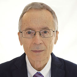 Albino Arenas Gómez
